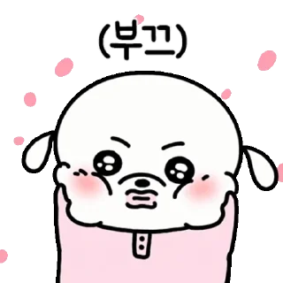 Video sticker 👍 @KakaoEmoji 복슬임다