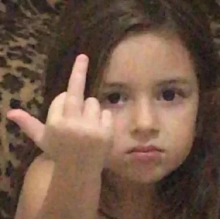 Telegram sticker 🖕 Cat