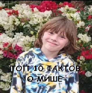 Video sticker 😋 Реал лайф Миша :: @fStikBot