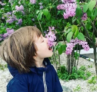 Telegram sticker 😮‍💨 Реал лайф Миша :: @fStikBot