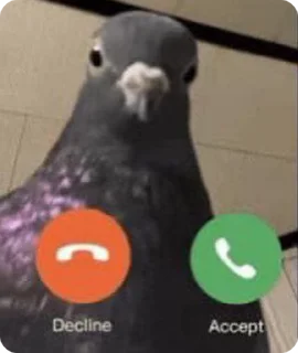 Video sticker 🌟 жз на самом деле :: @fStikBot