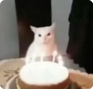 Video sticker 🌟 жз на самом деле :: @fStikBot