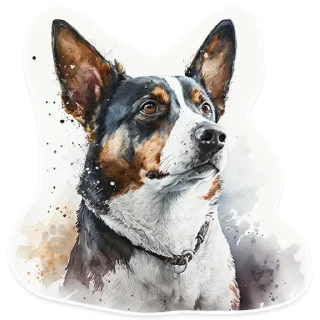Telegram sticker 🐕 АЙДА ГУЛЯТЬ 🐾 приложение для любителей собак (стикерпак)