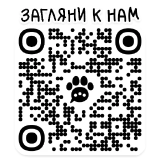 Video sticker 📲 АЙДА ГУЛЯТЬ 🐾 приложение для любителей собак (стикерпак)