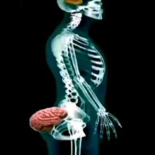 Video sticker 😎 TT STICK ➡️ @Ctikerubot