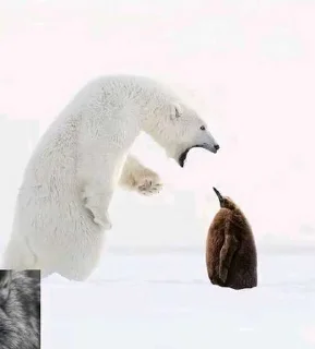 Telegram sticker 😏 TT STICK ➡️ @Ctikerubot