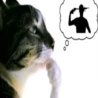 Video sticker 😍 TT STICK ➡️ @Ctikerubot