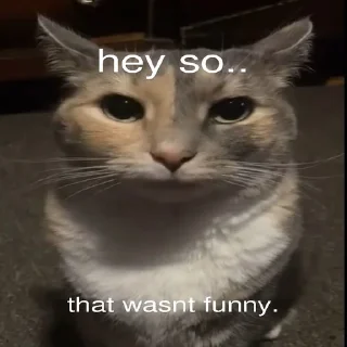 Telegram sticker 🫥 don't try to steal (owned by anshu)