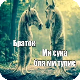 Telegram sticker 🐎 Zombye Dalabaratoriya