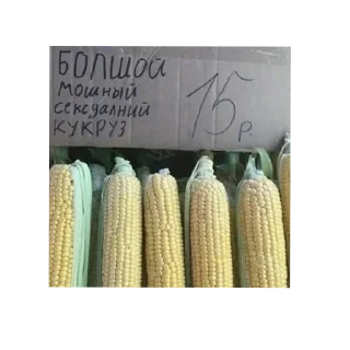 Telegram sticker 🍲 Щовельный суп