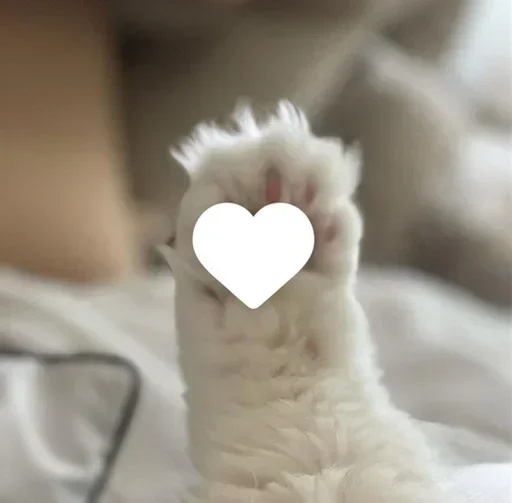 Телеграм стикер 🤍 ㅤΣ>―(〃°ω°〃)♡→