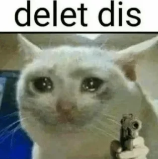 Video sticker 🙃 HΛMKΣЯcat #TheCatGangs kang pack