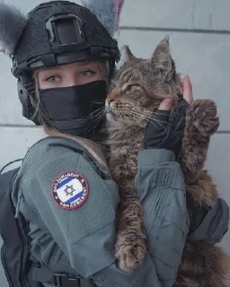 Telegram sticker 🤩 Боже, храни Америку @TgEmodziBot