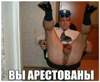 Video sticker 👮‍♂ Memzzz