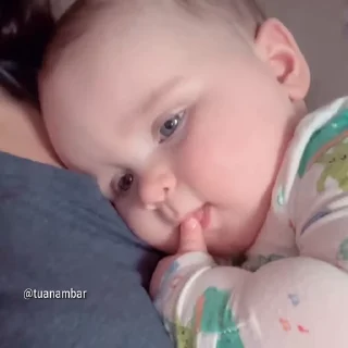 Video sticker 🍼 baby 🍼 [ by @tuanambar ]