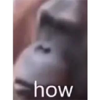 Video sticker 🐵 mamaco        by @raivozo