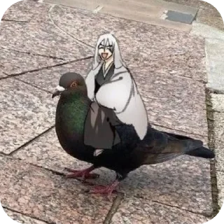 Sticker 🐦 Ladkiya mujhe dm kare @QURESHI_PAINn