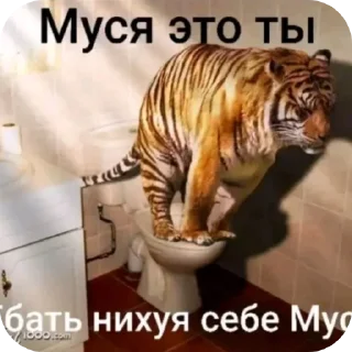 Telegram sticker 🐱 Жареный хлеб