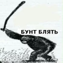 Video sticker 😡 БУНД БЛЯДЬ