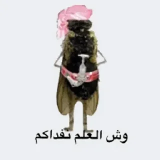 Telegram sticker 😎 هاذا حق سلووم لاتسرق