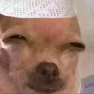 Telegram sticker 😉 هاذا حق سلووم لاتسرق