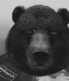 Video sticker ☹️ هاذا حق سلووم لاتسرق