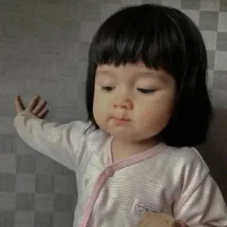 Video sticker 🙌 Shimlamirch_| @Nerd_home