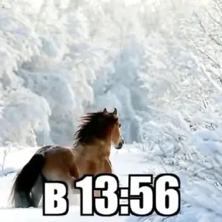Telegram sticker 😂 смехуевочка 2: huinya of the first смехуевочка