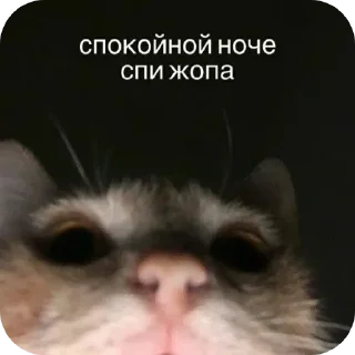Telegram sticker 😴 Больше стикеров тут: @stikery_emodzi_memy