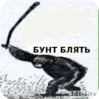 Video sticker 😡 Больше стикеров тут: @stikery_emodzi_memy