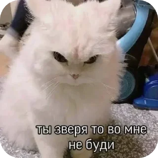 Telegram sticker 😠 Больше стикеров тут: @stikery_emodzi_memy