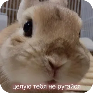 Telegram sticker 😘 Больше стикеров тут: @stikery_emodzi_memy