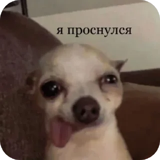 Telegram sticker 🥱 Больше стикеров тут: @stikery_emodzi_memy