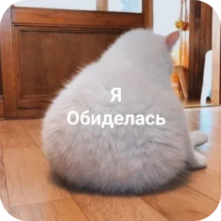 Video sticker 😞 Больше стикеров тут: @stikery_emodzi_memy