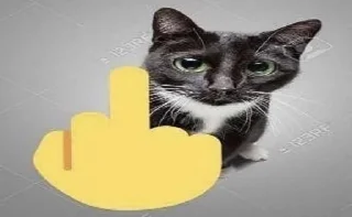 Video sticker 🌟 nikto blin :: @fStikBot