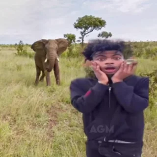 Video sticker 🐘 Lazer @agreatstickers
Dim @agreatmarket