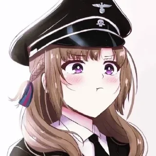 Video sticker 🌟 Anime und Nazi┊@IIRyuko :: @fStikBot