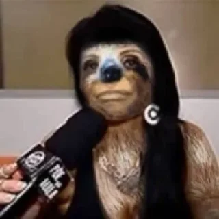 Video sticker 🐻‍❄️ as panteras detonando