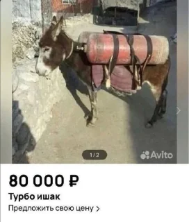 Sticker 🤩 Турбо ишак @TgEmodziBot