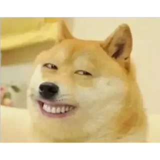 Telegram sticker 🏵 👽श्रीमान लच्छू लचीले जी @aizenthelord