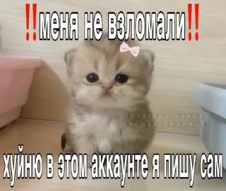 Telegram sticker 🤍 🤍🤍🤍
@mrch_anya