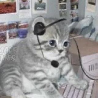 Video sticker 🫡 🤍🤍🤍
@mrch_anya