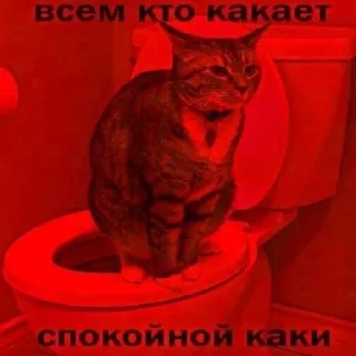 Video sticker ❤️ 🤍🤍🤍
@mrch_anya