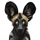 Telegram sticker 😯 Swish's African Wild Dogs