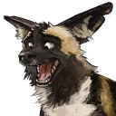 Telegram sticker 😧 Swish's African Wild Dogs