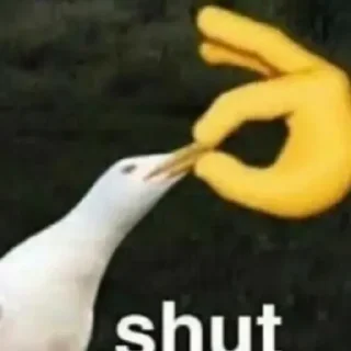 Video sticker 😊 memes