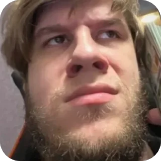 Video sticker 🫥 Биба