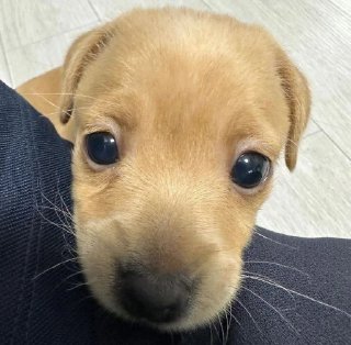 Telegram sticker 🤕 @vonrichtofenn's