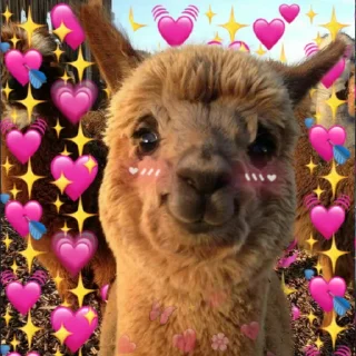 Video sticker 💖 пикчи 🙄