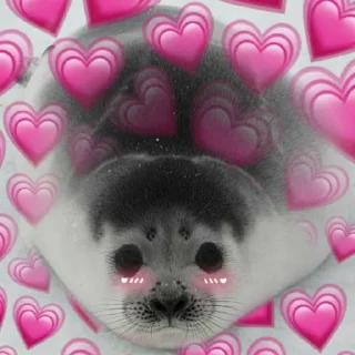 Telegram sticker ❤ пикчи 🙄